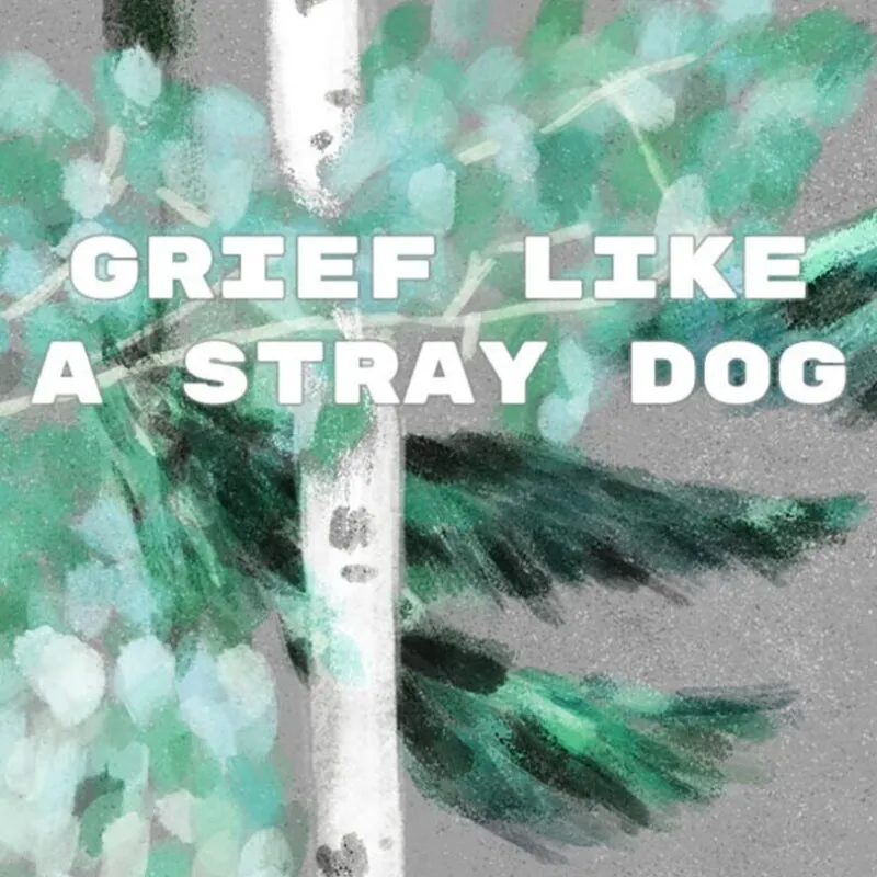 Grief Like a Stray Dog