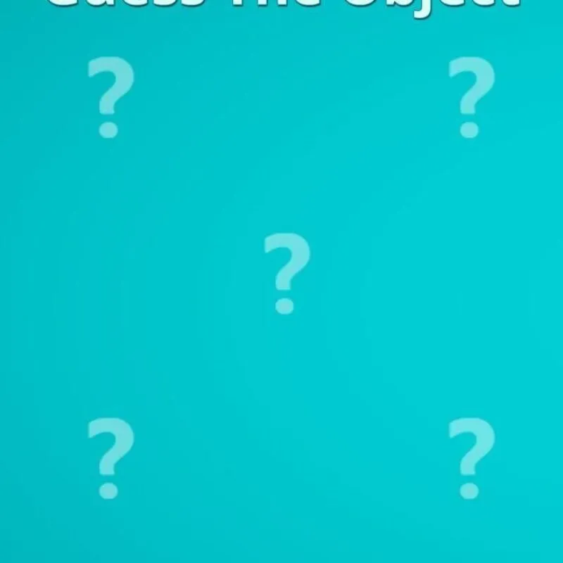 Guess The Object
