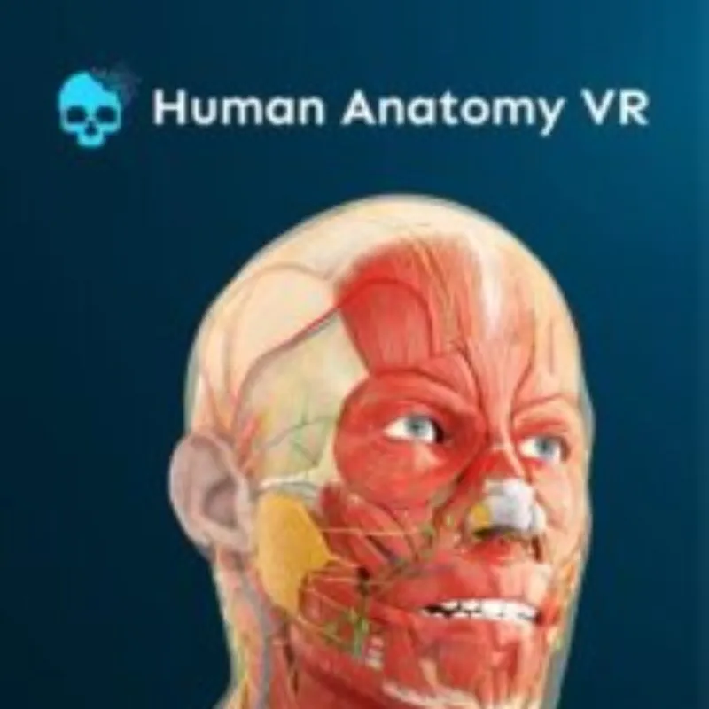 Human Anatomy VR