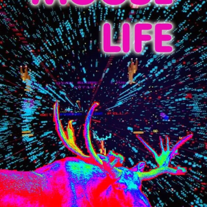 Moose Life