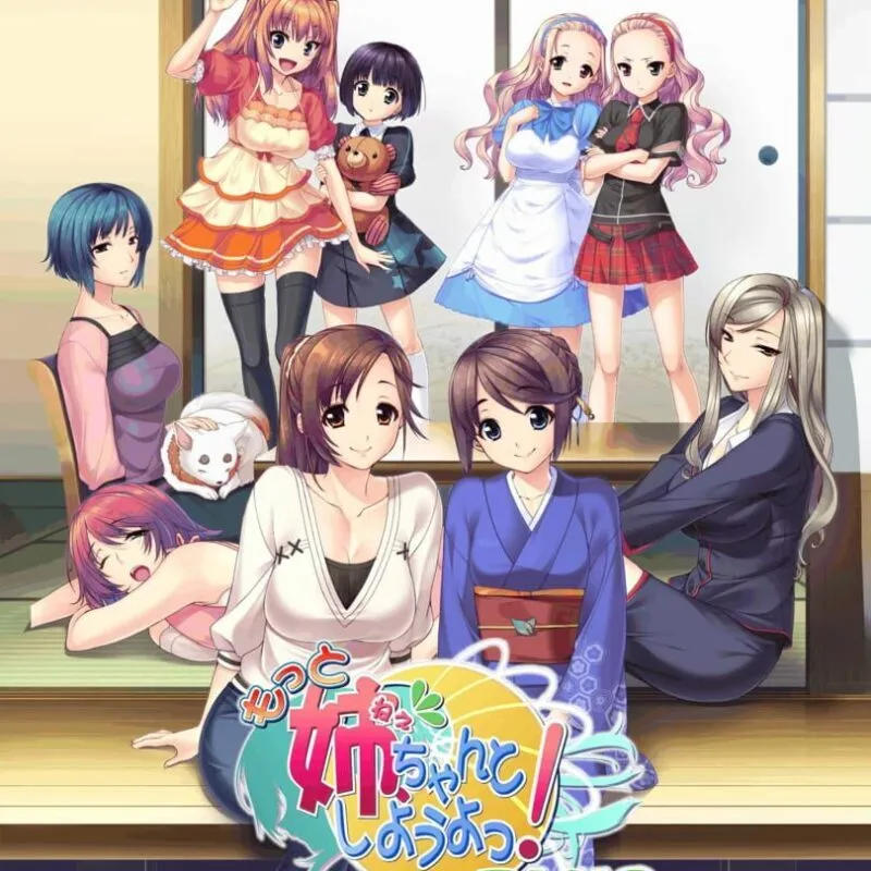 Motto Nee, Chanto Shiyou yo! +Plus