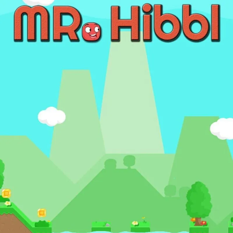 Mr. Hibbl