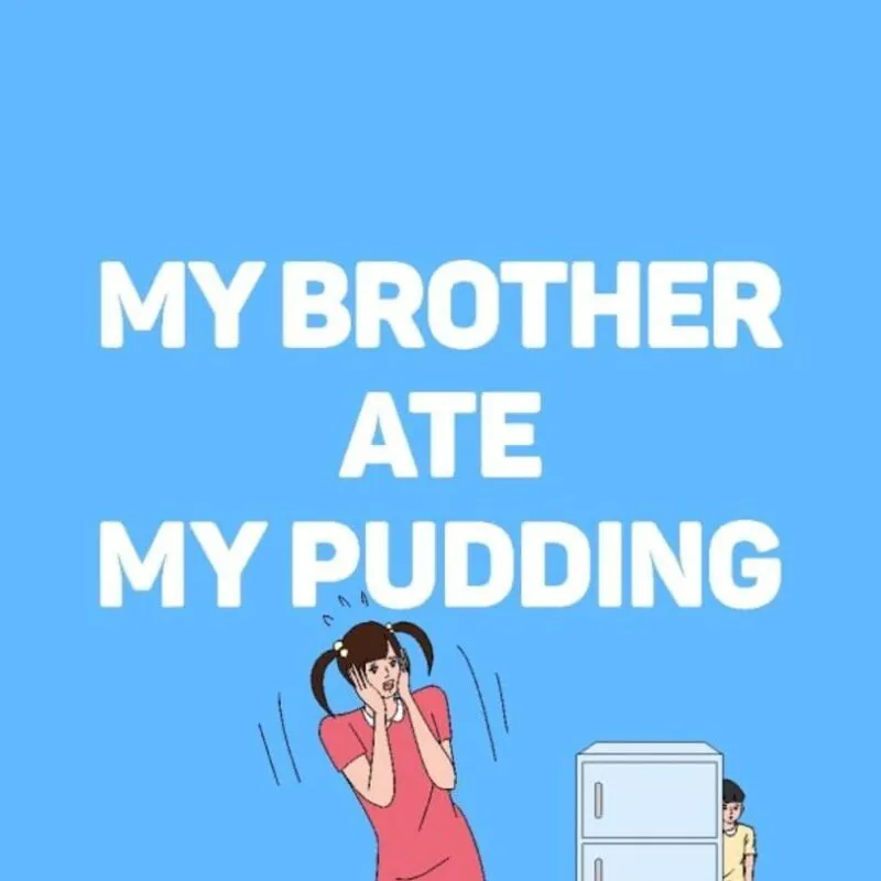 My brother ate my pudding
