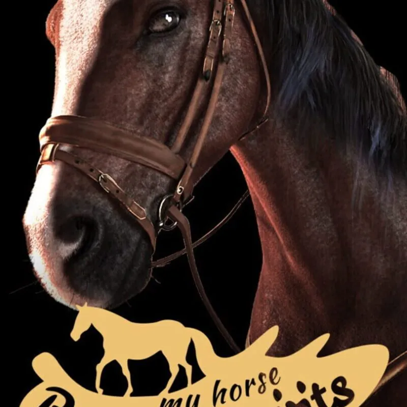 My Horse: Bonded Spirits