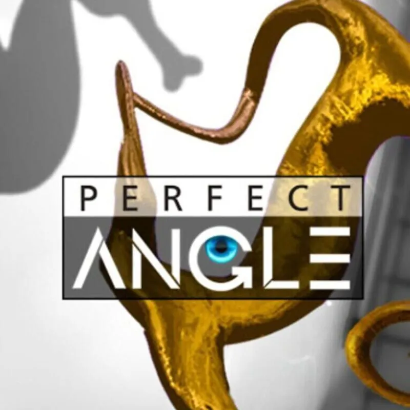 Perfect Angle
