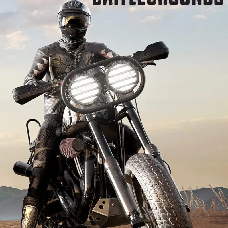 PlayerUnknown’s Battlegrounds: Season 12