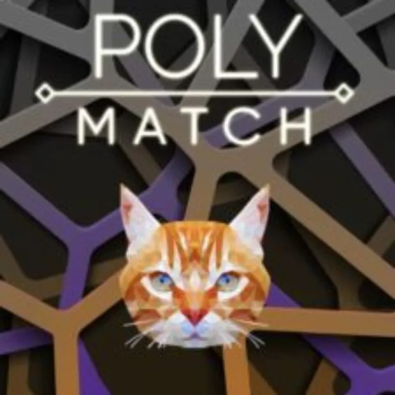 Poly Match