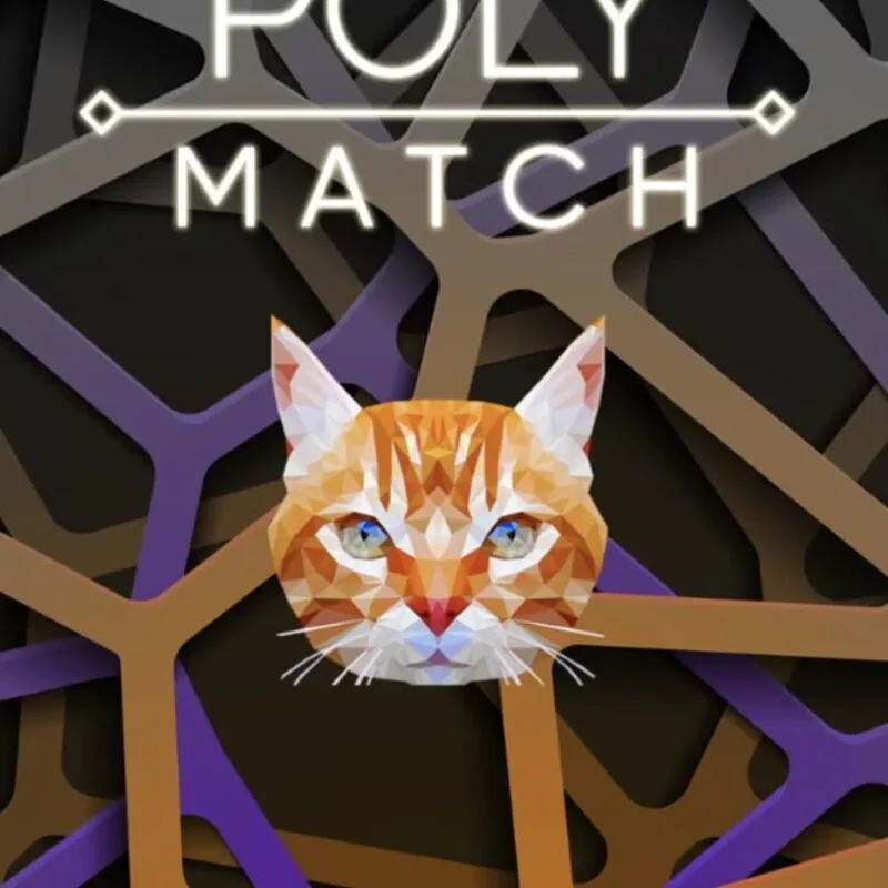 Poly Match