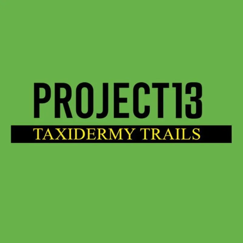 Project 13: Taxidermy Trails