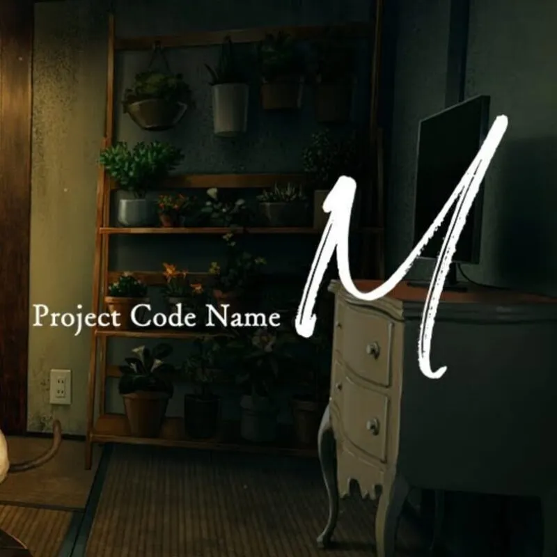 Project Code M