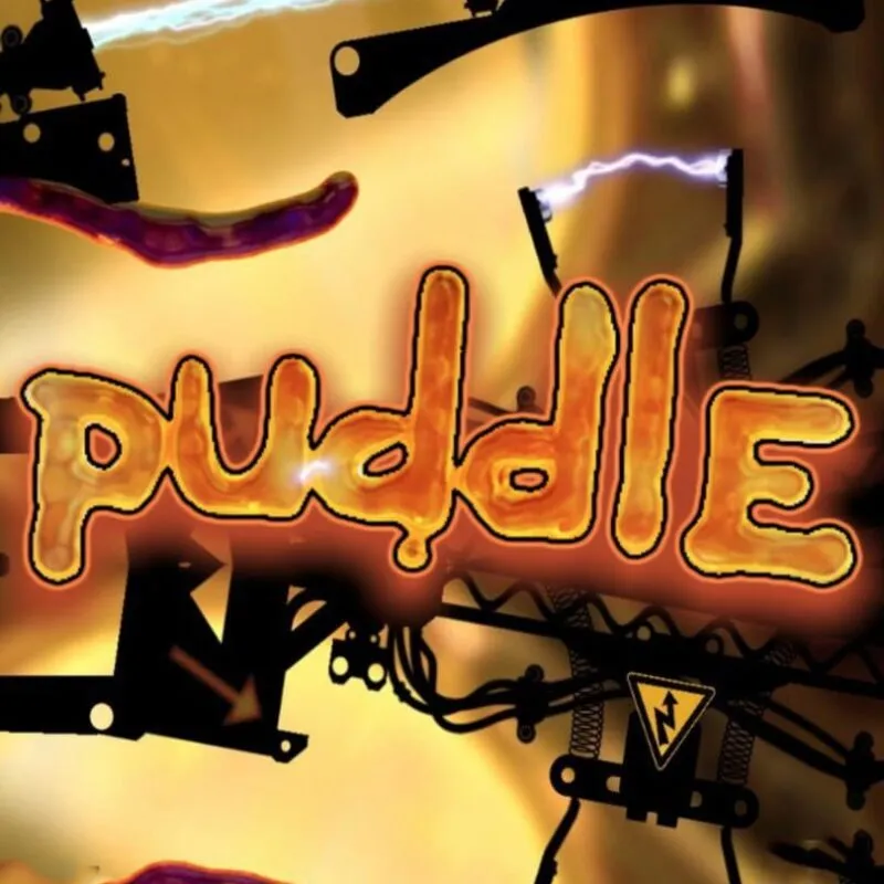 Puddle