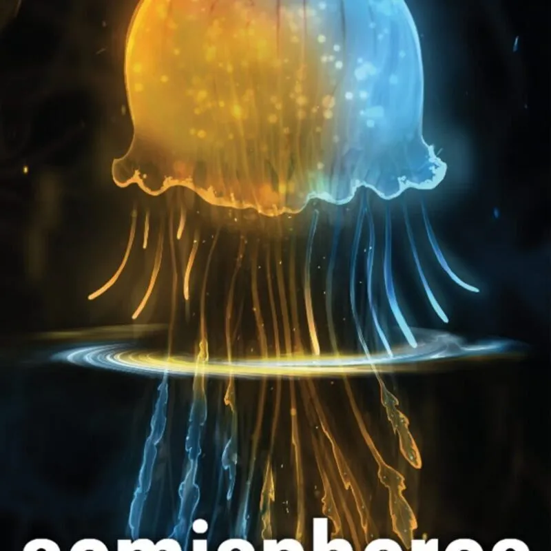 Semispheres