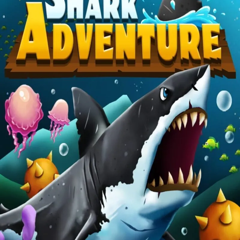 Shark Adventure