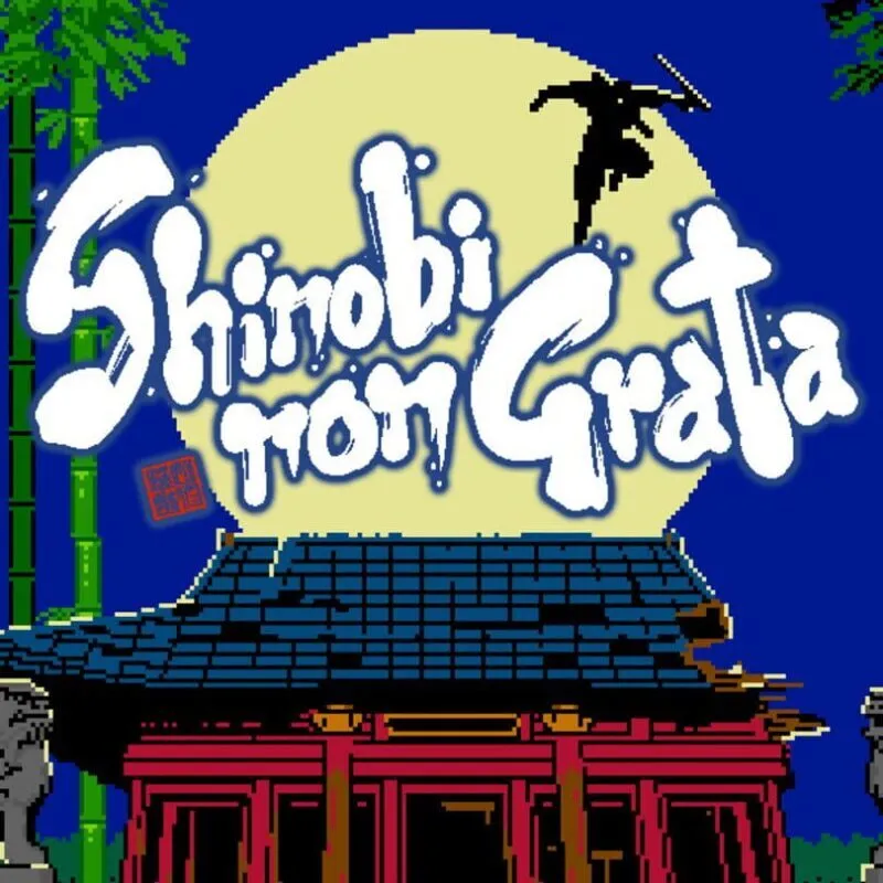 Shinobi Non Grata