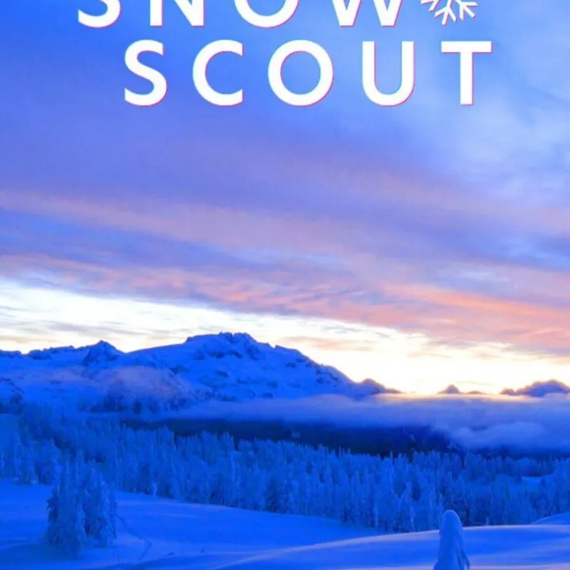 Snow Scout