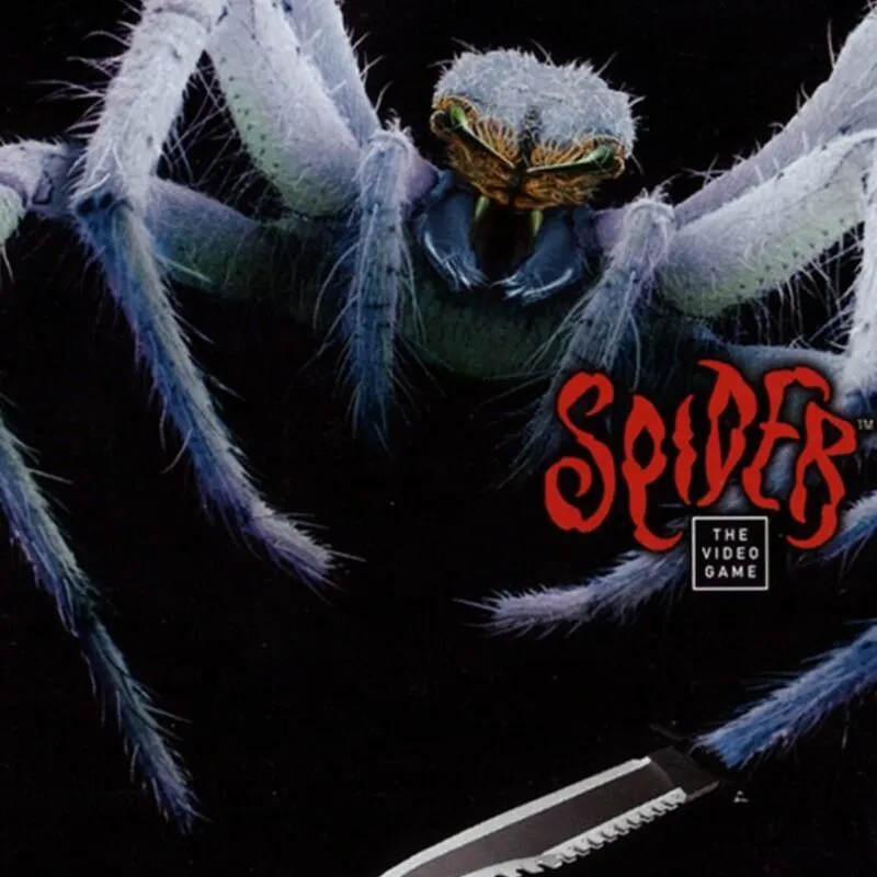 Spider: The Video Game