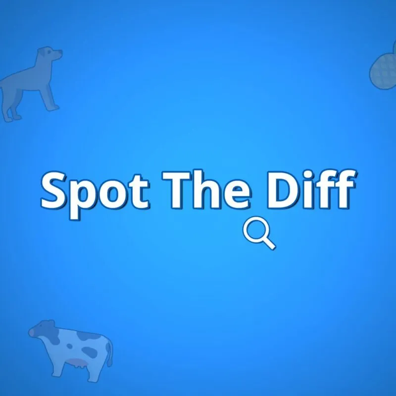 Spot It