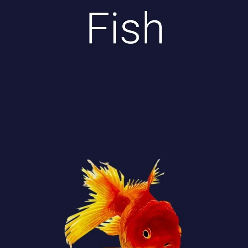 Stroke the Fish