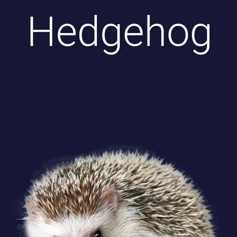 Stroke the Hedgehog