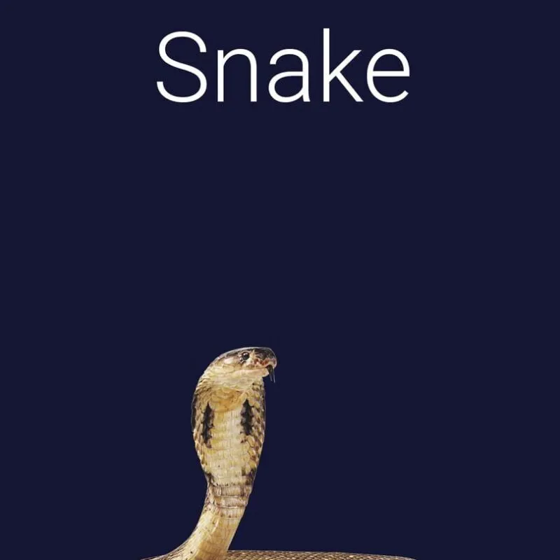 Stroke the Snake