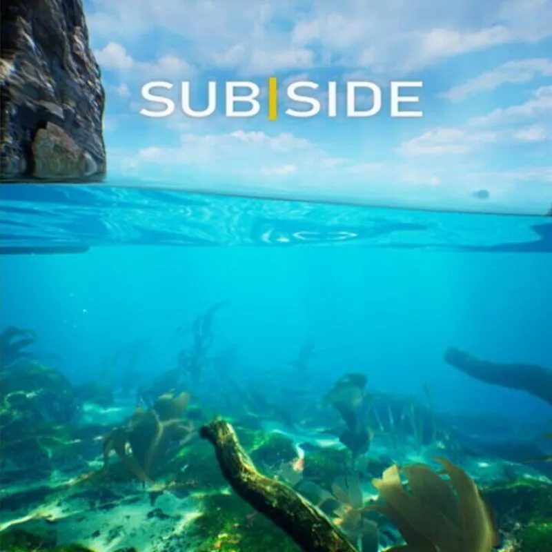 Subside