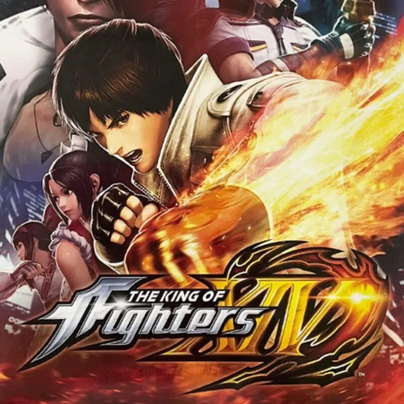 The King of Fighters XIV: Burn to Fight Premium Edition
