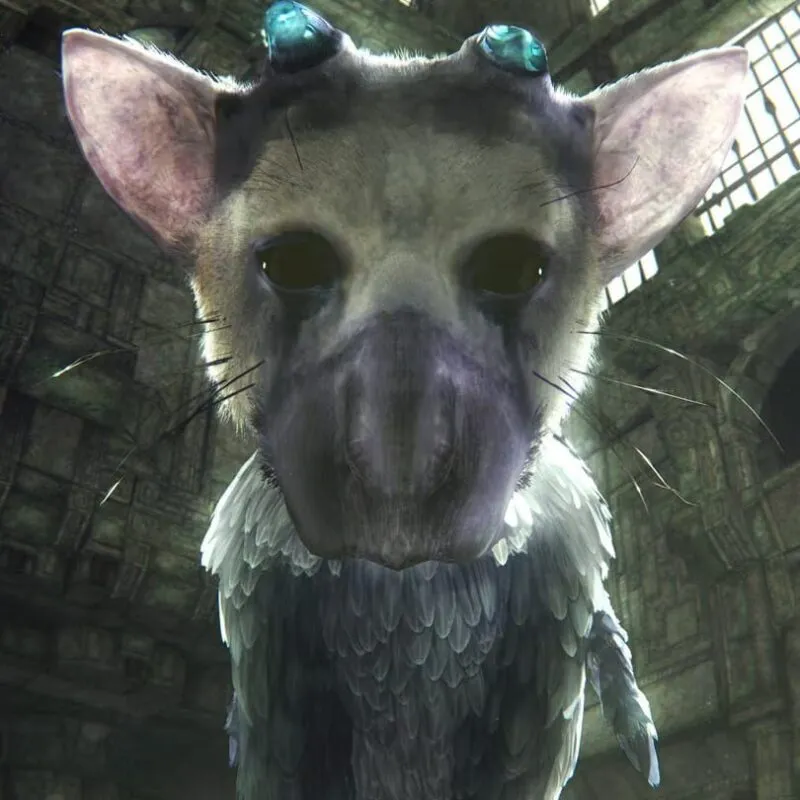 The Last Guardian VR