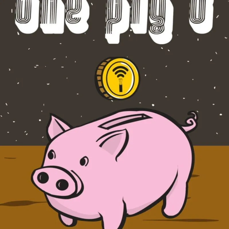 The Pig D