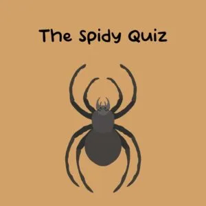 The Spidy Quiz