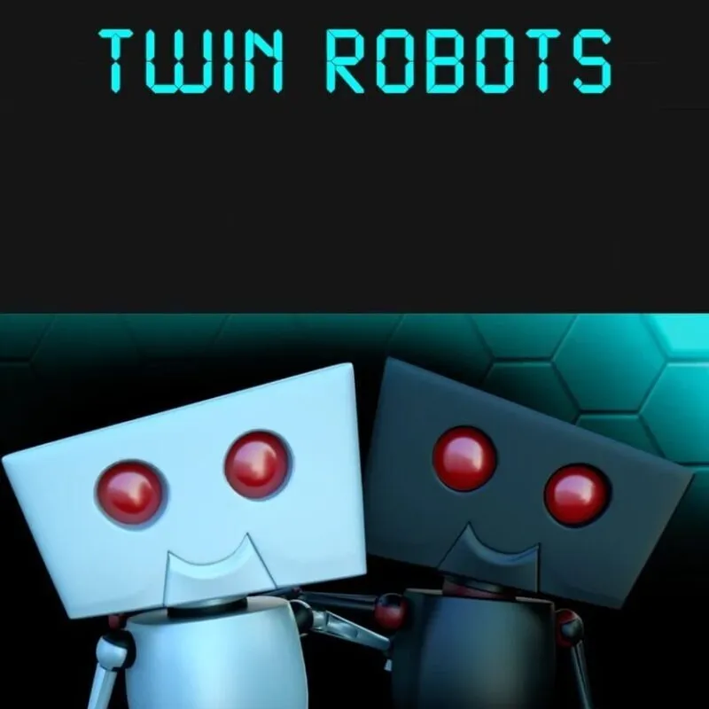 Twin Robots
