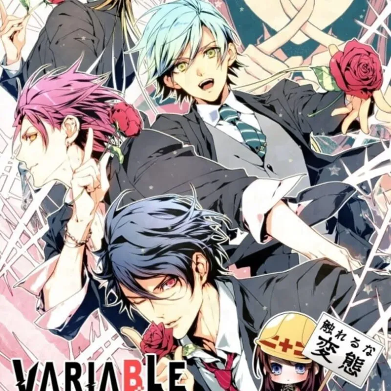 Variable Barricade