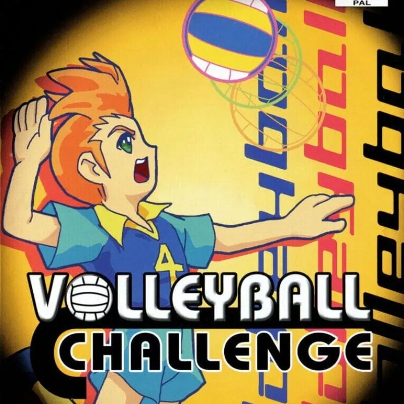 Volleyball Challenge