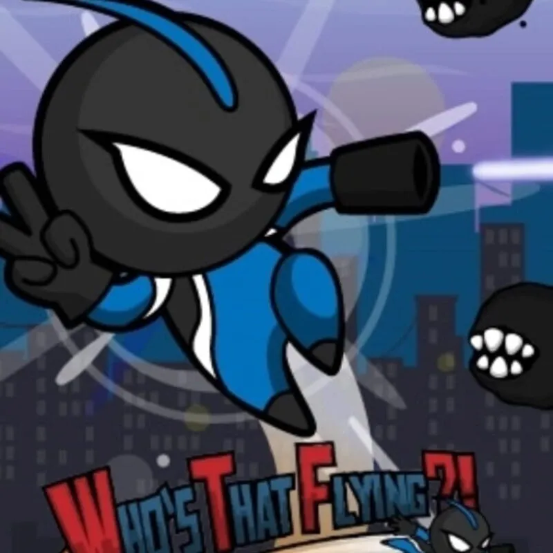 Who’s That Flying?!