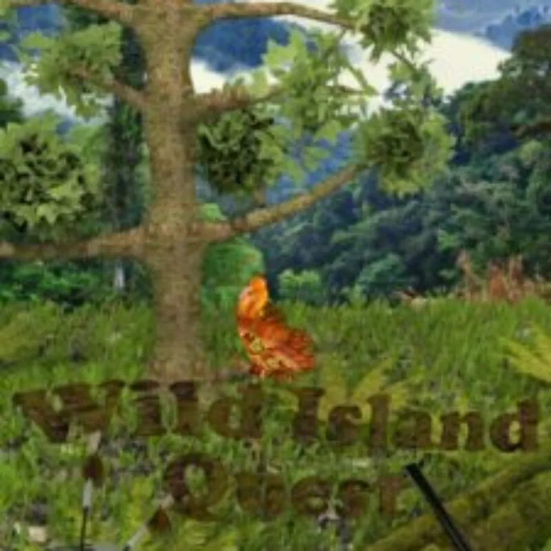 Wild Island Quest