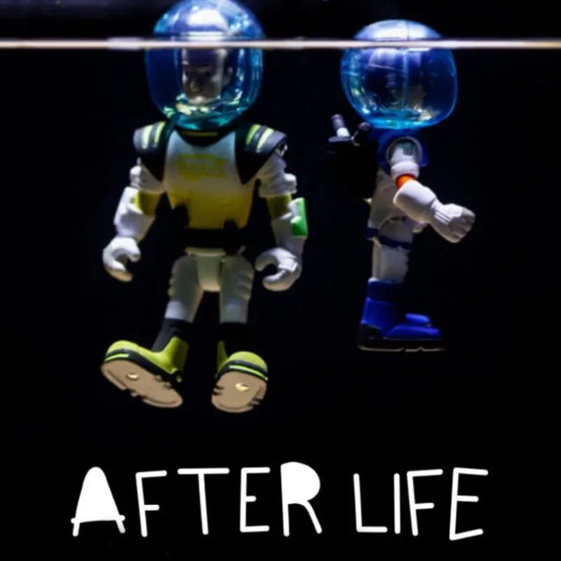 Afterlife