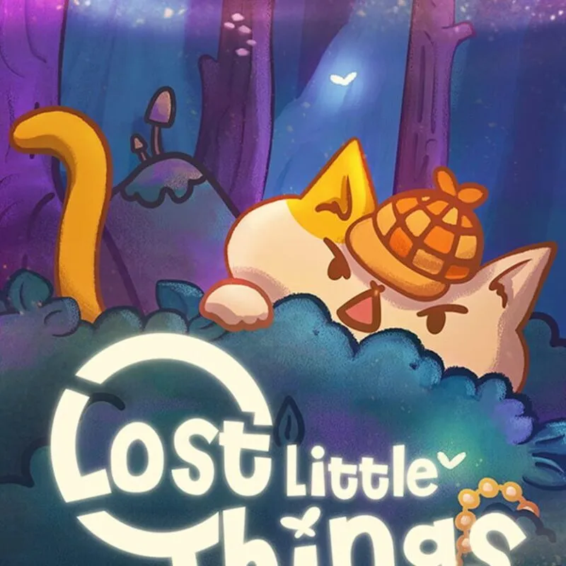 Lost Little Things