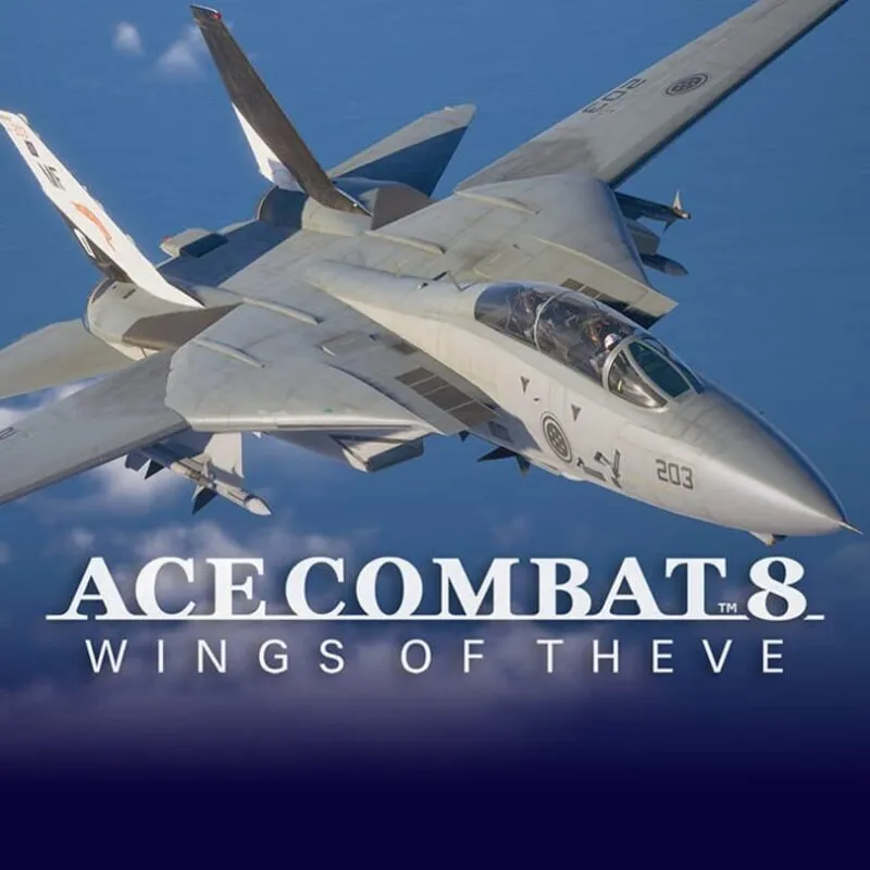 Ace Combat 8: Wings of Theve – Playable Aircraft: F-14A