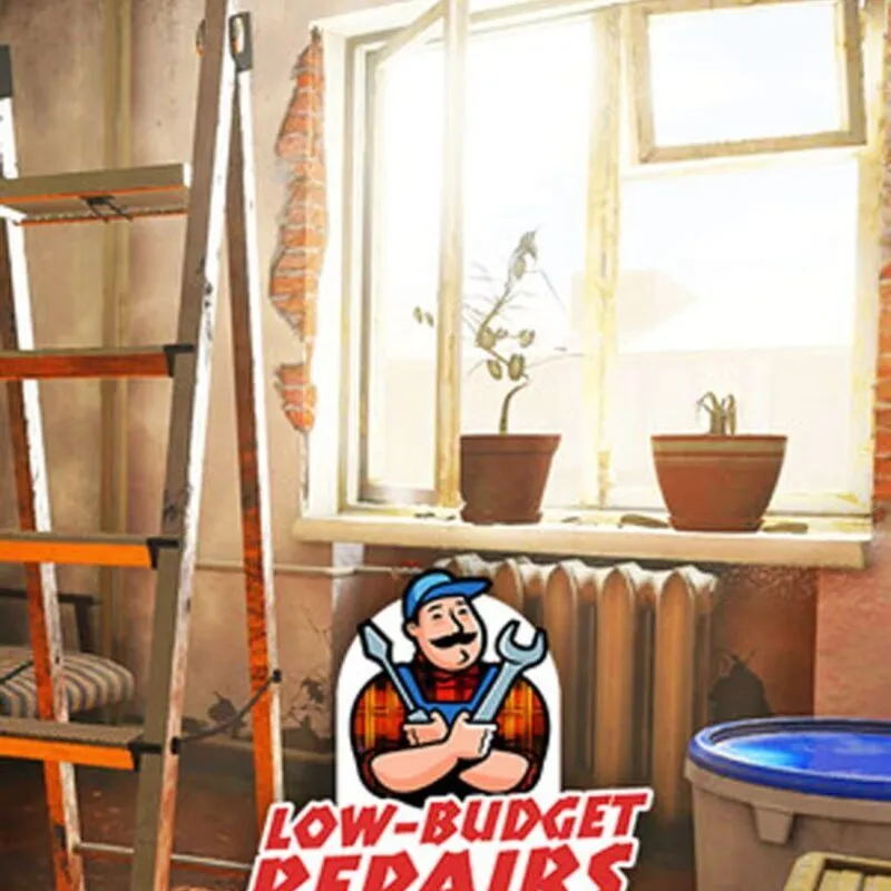 Low-Budget Repairs