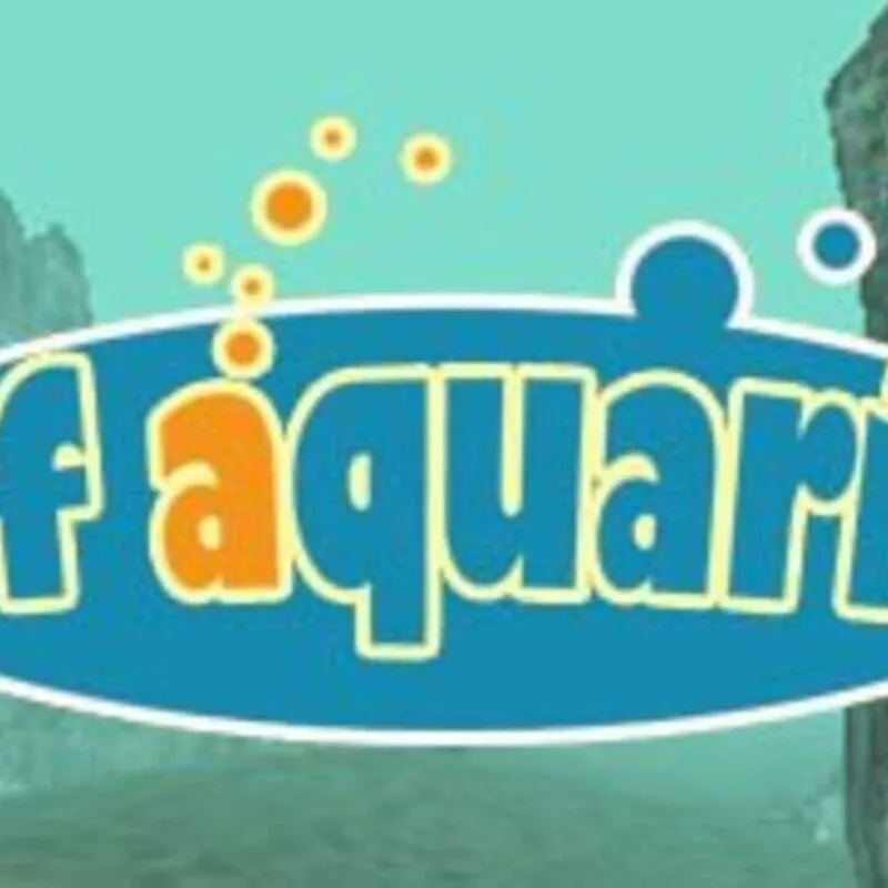 Reef Aquarium