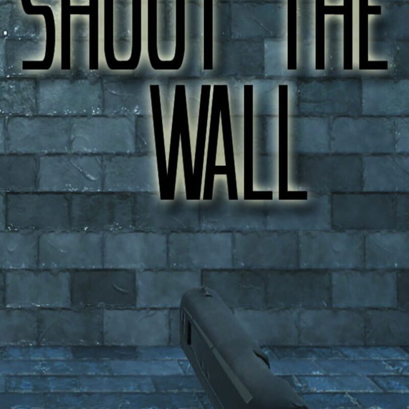 Shoot the Wall