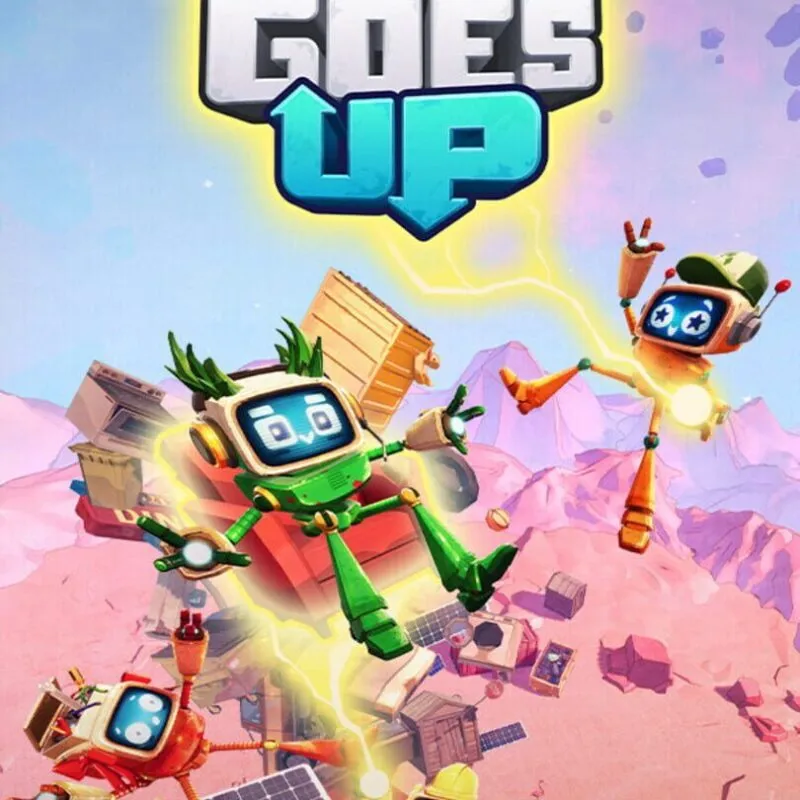 What Goes Up