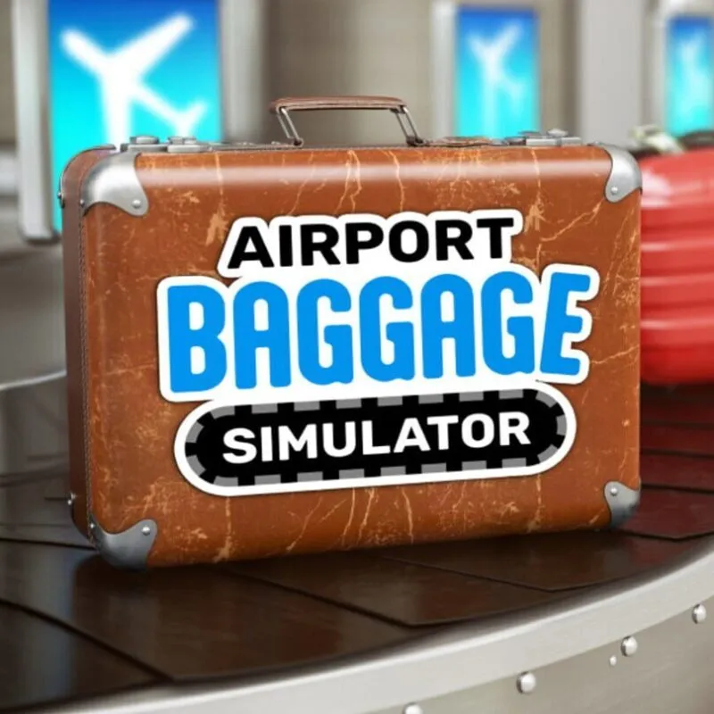 Airport Baggage Simulator