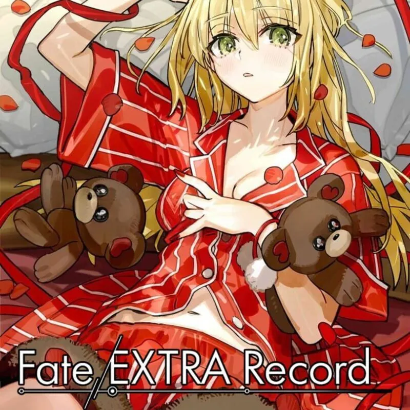 Fate/Extra Record: Animate Limited Set