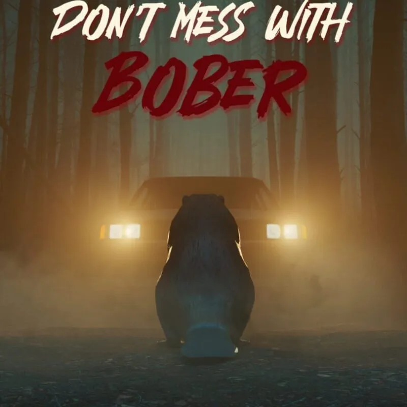 Don’t Mess With Bober