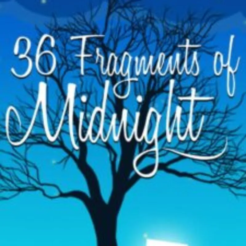 36 Fragments of Midnight