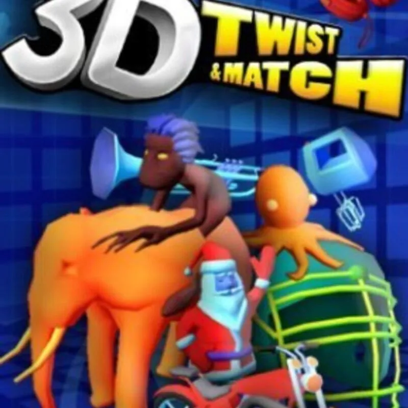 3D Twist & Match