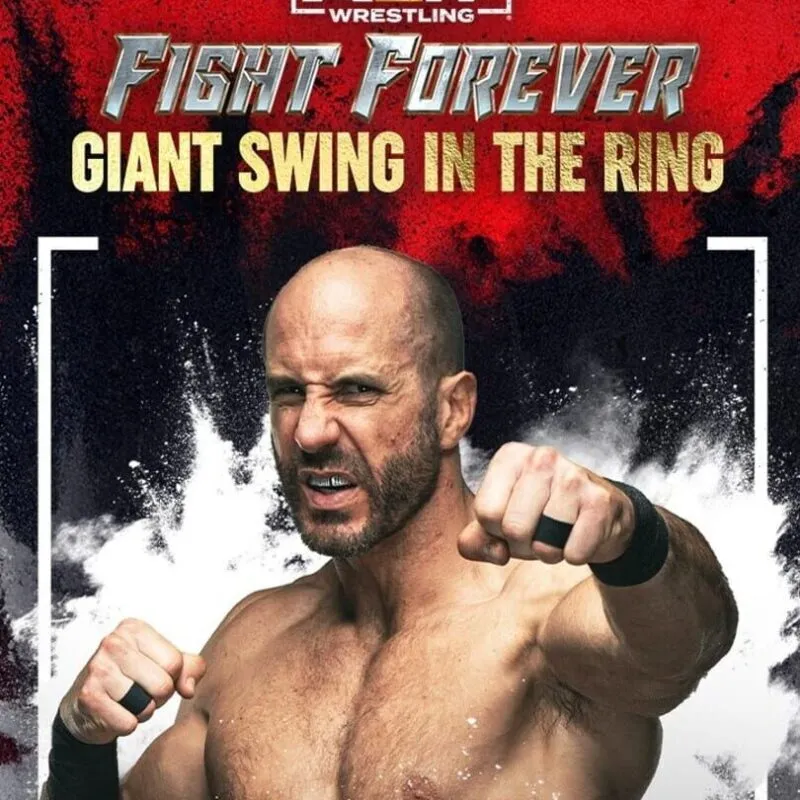 All Elite Wresting: Fight Forever – Giant Swing in the Ring