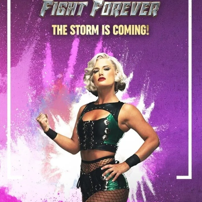 All Elite Wrestling: Fight Forever – The Storm is Coming!