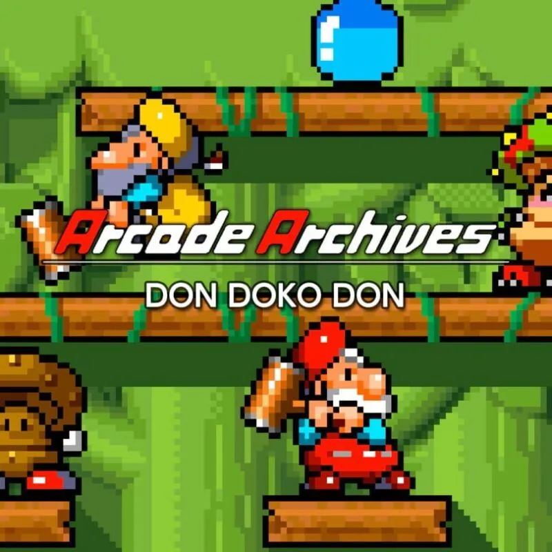 Arcade Archives: Don Doko Don