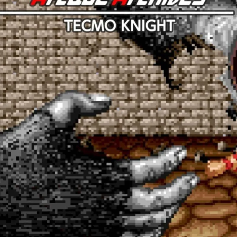 Arcade Archives: Tecmo Knight